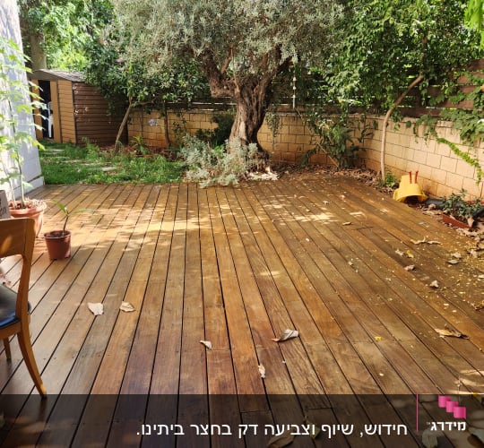 דק עץ בגינה עם עלים יבשים ועץ גדול